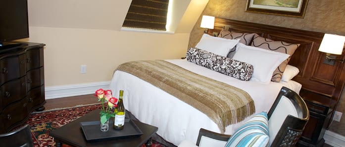 singewald banner bed2 1.jpg 1