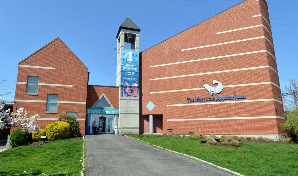 The IMAX theater at The Maritime Aquarium on Tuesday May 1 2018 in Norwalk Conn.